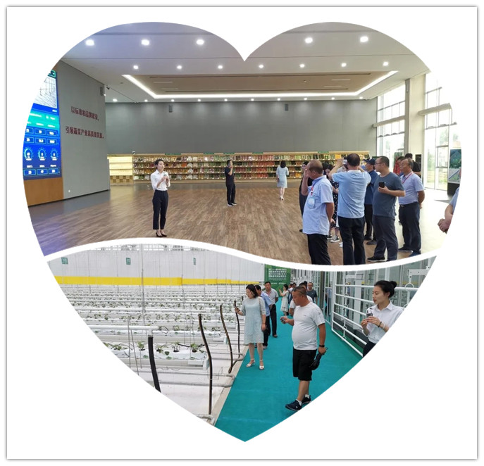 寿光市蔬菜小镇